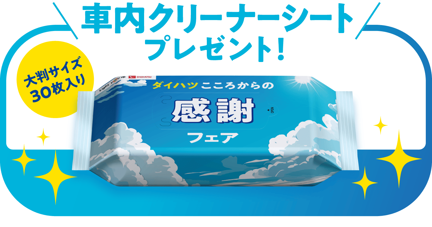 車内クリーナーシートプレゼント!(大判サイズ30枚入り)